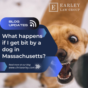 What happens if I get bit by a dog in Massachusetts? 