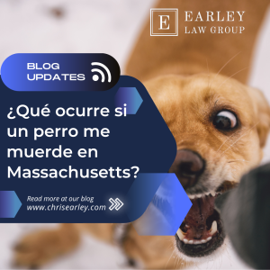 ¿Qué ocurre si un perro me muerde en Massachusetts?  