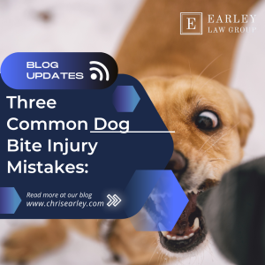 Three Common Dog Bite Injury Mistakes: