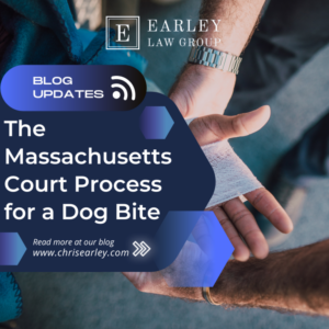 What Is The Massachusetts Court Process for a Dog Bite?